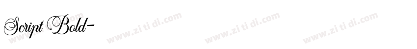 Script Bold字体转换